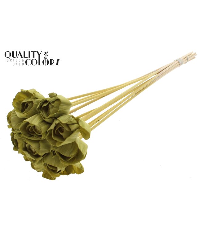 Shola Dear Holly 6cm on stem Olive ( x 50 )