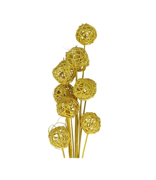 Bijsteker 50cm Brunchbal 5cm ( x 10 )