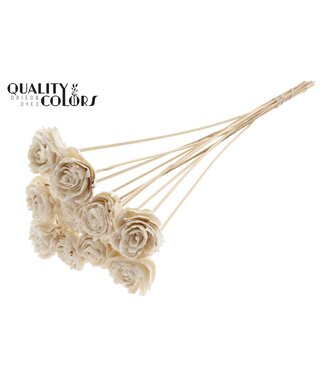 QC Shola Koli Flower 6cm on stem Natural | Per 50 stuks