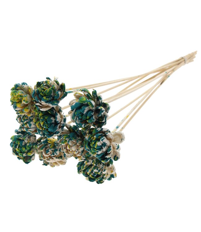 Shola New Beauty Rose 6cm on stem Multicolour Green/Yellow ( x 50 )