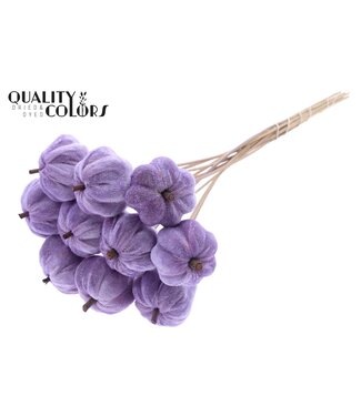 QC Velvet Pumpkin Ø6cm on stem Milka ( x 40 )