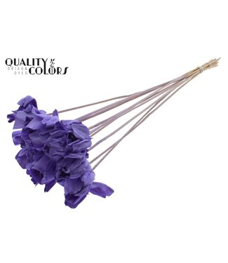 QC Shola Dear Holly 6cm on stem Milka ( x 50 )