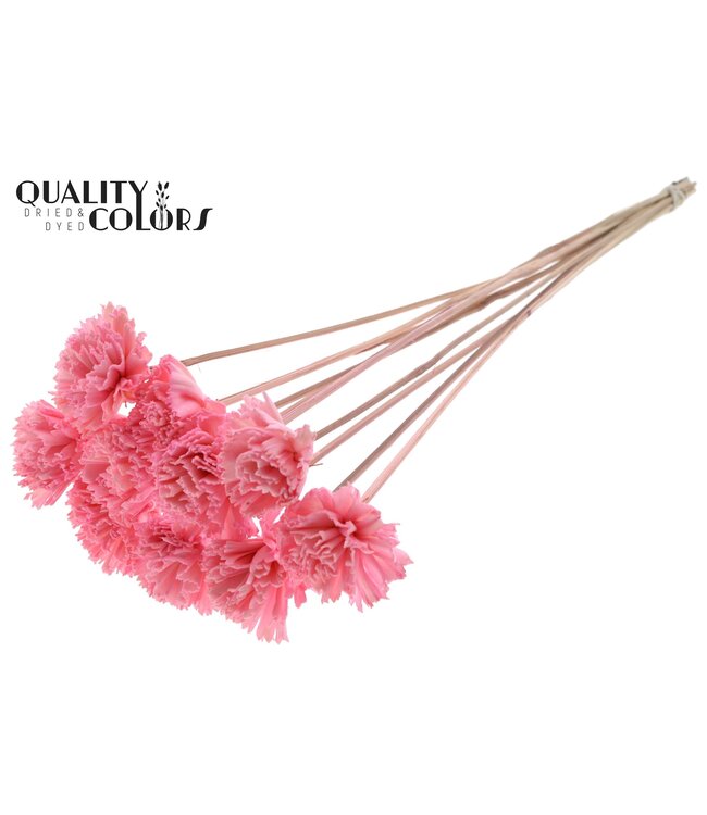 Shola Karnish Flower 6cm on stem Light Pink ( x 50 )