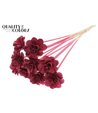 QC Beetal Rose 6cm on stem Burgundy | Per 50 stuks