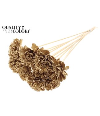 QC Shola Karnish Flower 6cm on stem Antique Gold ( x 50 )