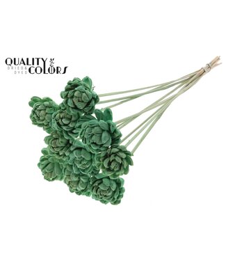 QC Shola New Beauty Rose 6cm on stem Mint Green | Per 50 stuks