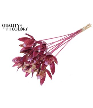 QC Wild Lilly on stem Metallic Pink | Per 50 stuks