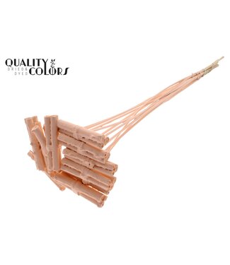 QC Jute Stick Posy on stem Covered Apricot | Per 50 stuks