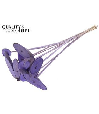 QC Wood oval Slice on stem Frosted Milka | Per 50 stuks