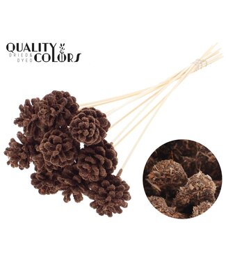 QC Pine cone 5-7cm on stem Sawdust Brown | Per 50 stuks
