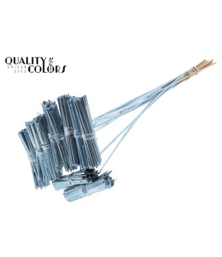 QC Kore Posy on stem Metallic Blue | Per 50 stuks