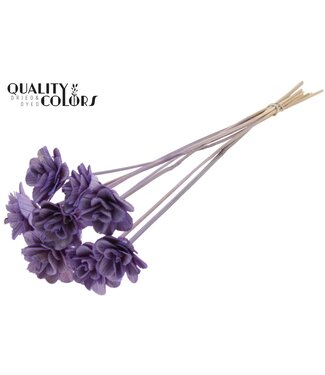 QC Beetal Rose 6cm on stem Milka | Per 50 stuks