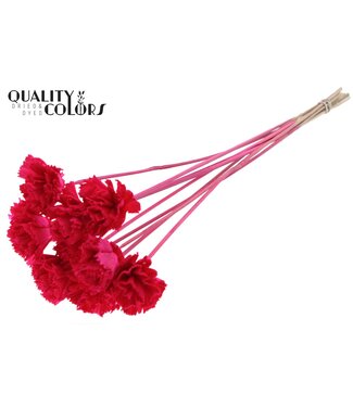 QC Shola Karnish Flower 6cm on stem Cerise ( x 50 )