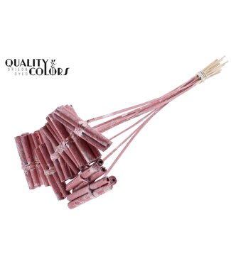 QC Jute Stick Posy on stem Metallic Red ( x 50 )