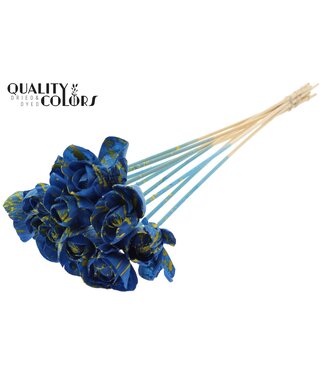 QC Shola Dear Holly 6cm on stem Splashed Blue/Yellow ( x 50 )