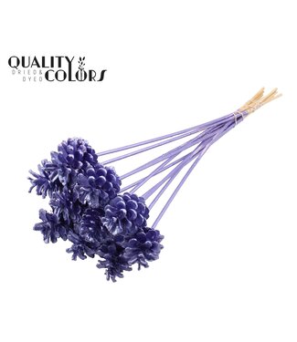 QC Pine cone 5-7cm on stem Metallic Purple | Per 50 stuks