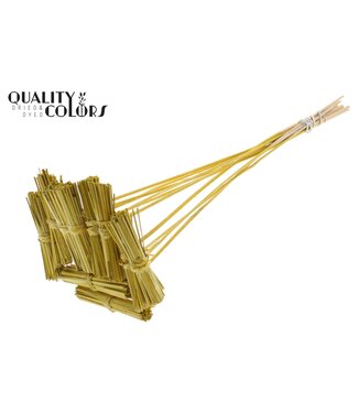 QC Kore Posy on stem Metallic Yellow | Per 50 stuks