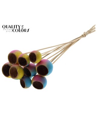 QC Bell Cup on stem Ibiza | Per 50 stuks