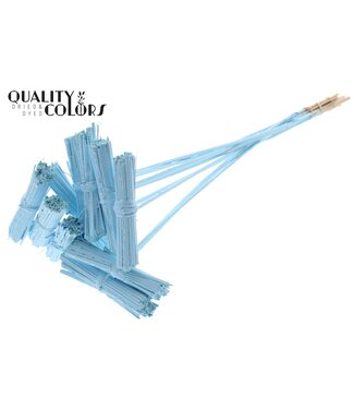 QC Kore Posy on stem Covered Light Blue | Per 50 stuks