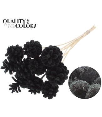 QC Pine cone 5-7cm on stem Sawdust Black | Per 50 stuks
