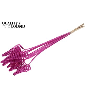 QC Cane Cone on stem Covered Cerise ( x 50 )