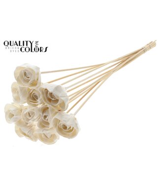 QC Shola Dear Holly 6cm on stem Wax White ( x 50 )