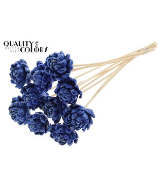 QC Shola New Beauty Rose 6cm on stem Wax Blue | Per 50 stuks