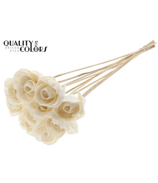 QC Shola Dear Holly 6cm on stem Natural | Per 50 stuks