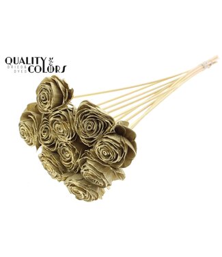 QC Shola Beauty Rose 6cm on stem Gold ( x 50 )
