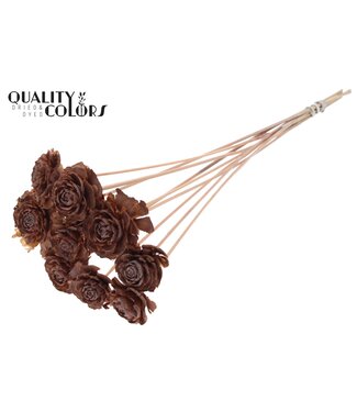 QC Cedar Rose on stem Frosted Salmon | Per 50 stuks