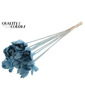 QC Shola Dear Holly 6cm on stem Light Blue ( x 50 )