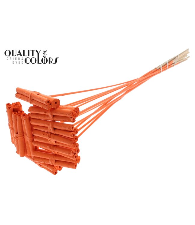 Jute Stick Posy on stem Covered Orange ( x 50 )