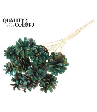 QC Pine cone 5-7cm on stem Multicolour Green | Per 50 stuks