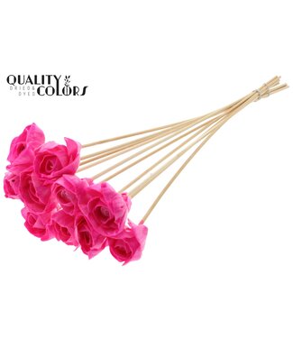 QC Shola Dear Holly 6cm on stem Wax Cerise | Per 50 stuks