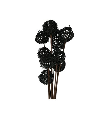 4A Bijsteker 50cm Brunchbal 5cm ( x 10 )