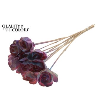 QC Shola Dear Holly 6cm on stem Gradient Pink | Per 50 stuks