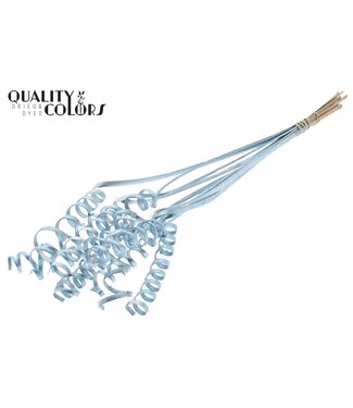 QC Cane Spring on stem Metallic Blue | Per 50 stuks