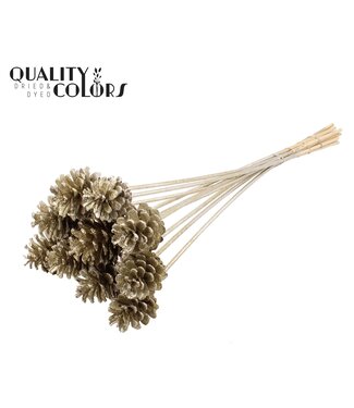 QC Pine cone 5-7cm on stem Platina + Glitter | Per 50 stuks