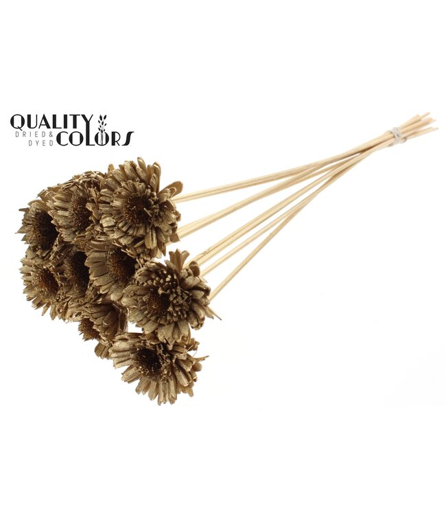 Shola Daisy Sunflower 6cm on stem Antique Gold ( x 50 )