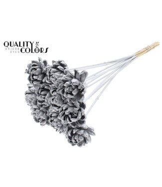 QC Shola New Beauty Rose 6cm on stem Silver ( x 50 )