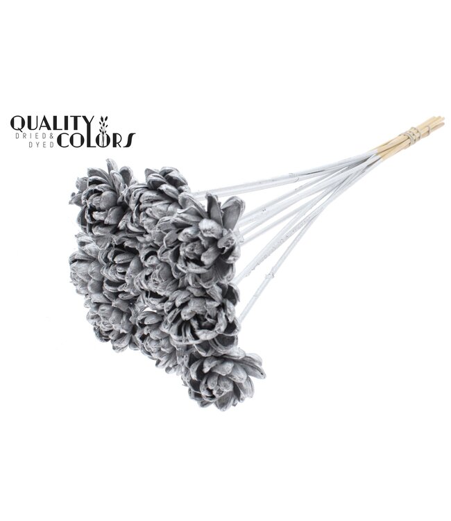 Shola New Beauty Rose 6cm on stem Silver ( x 50 )
