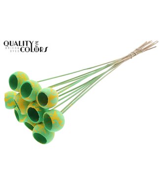 QC Bell Cup on stem Splashed Mint/Yellow ( x 50 )
