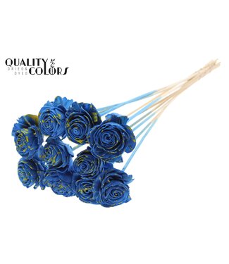 QC Shola Beauty Rose 6cm on stem Splashed Blue/Yellow ( x 50 )