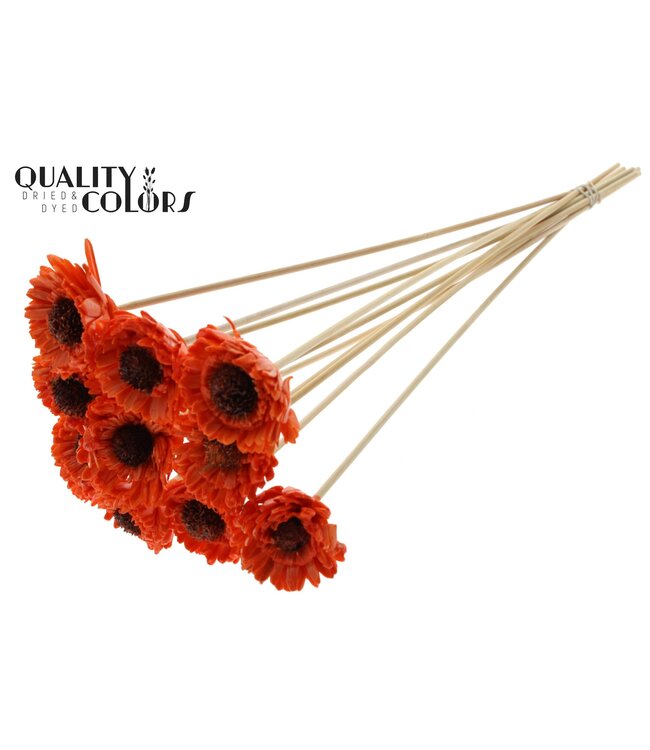 Shola Daisy Sunflower 6cm on stem Wax Orange ( x 50 )