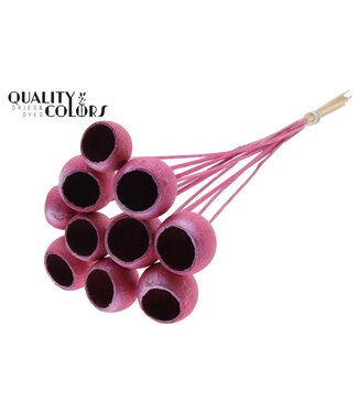 QC Bell Cup on stem Metallic Pink | Per 50 stuks