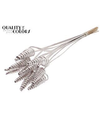 QC Cane Cone on stem Champagne ( x 50 )