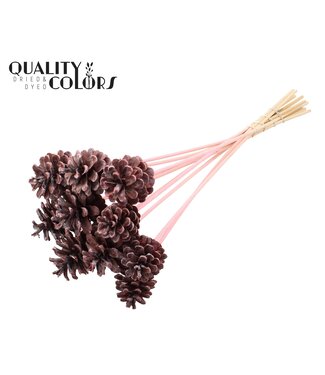 QC Pine cone 5-7cm on stem Frosted Pink | Per 50 stuks
