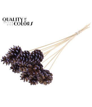 QC Pine cone 5-7cm on stem Metallic Purple Tipped | Per 50 stuks