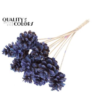 QC Pine cone 5-7cm on stem Multicolour Light Blue | Per 50 stuks