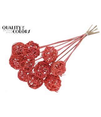 QC Bruce Ball 5cm on stem Coral | Per 50 stuks